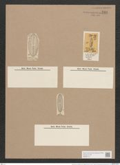 Navicula lyra var. seductilis (A.Sch.) O'Meara (de-Toni-Nr.: Genus 1, Species 327) Zeichnungen Sammlung Grunow Nr. 748 (NHMW-BOT-W0367141)